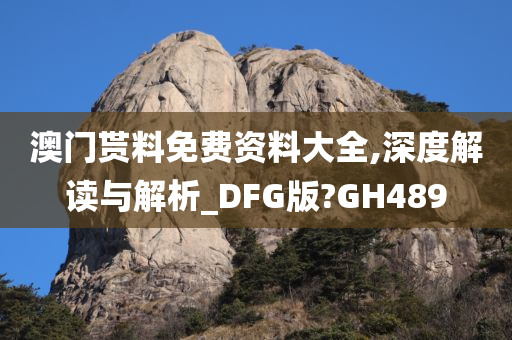 澳门贳料免费资料大全,深度解读与解析_DFG版?GH489