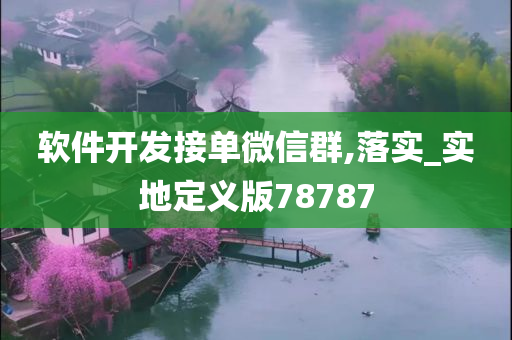 软件开发接单微信群,落实_实地定义版78787