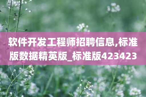 软件开发工程师招聘信息,标准版数据精英版_标准版423423