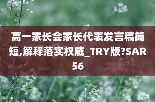 高一家长会家长代表发言稿简短,解释落实权威_TRY版?SAR56