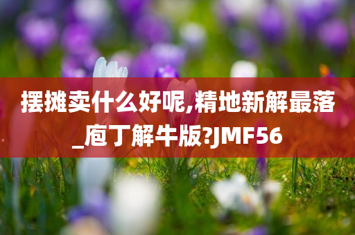 摆摊卖什么好呢,精地新解最落_庖丁解牛版?JMF56