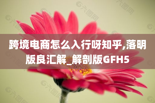 跨境电商怎么入行呀知乎,落明版良汇解_解剖版GFH5