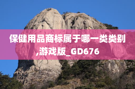 保健用品商标属于哪一类类别,游戏版_GD676