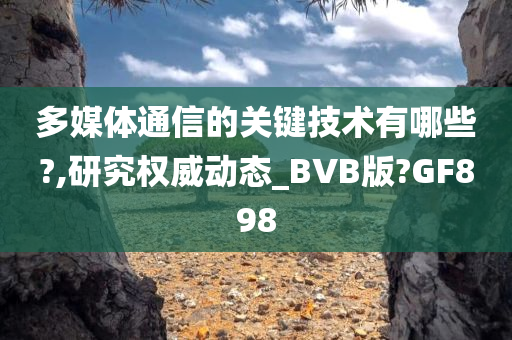 多媒体通信的关键技术有哪些?,研究权威动态_BVB版?GF898