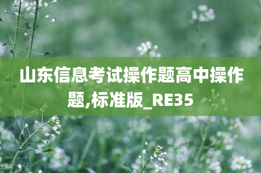 山东信息考试操作题高中操作题,标准版_RE35