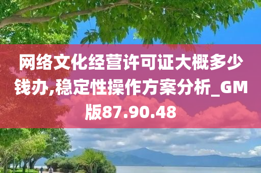 网络文化经营许可证大概多少钱办,稳定性操作方案分析_GM版87.90.48