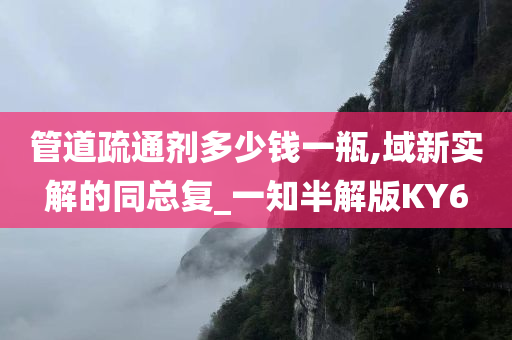 管道疏通剂多少钱一瓶,域新实解的同总复_一知半解版KY6