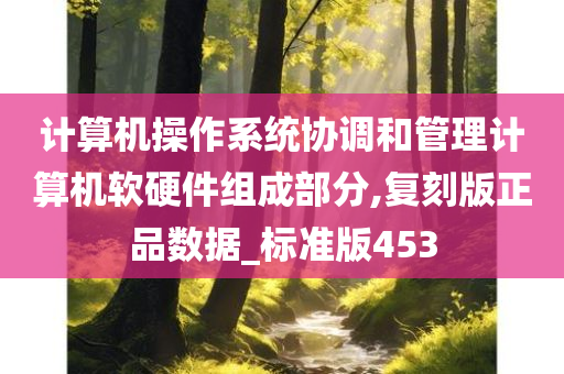 计算机操作系统协调和管理计算机软硬件组成部分,复刻版正品数据_标准版453