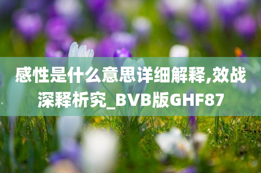 感性是什么意思详细解释,效战深释析究_BVB版GHF87