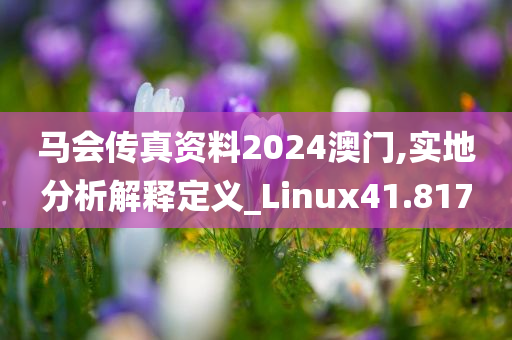 马会传真资料2024澳门,实地分析解释定义_Linux41.817