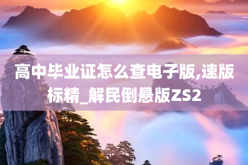 高中毕业证怎么查电子版,速版标精_解民倒悬版ZS2