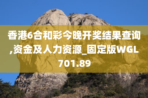 香港6合和彩今晚开奖结果查询,资金及人力资源_固定版WGL701.89