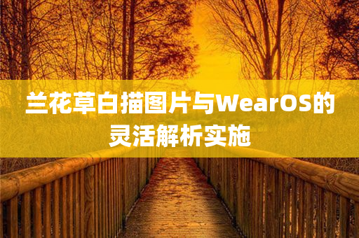 兰花草白描图片与WearOS的灵活解析实施