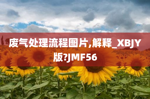 废气处理流程图片,解释_XBJY版?JMF56