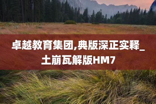 卓越教育集团,典版深正实释_土崩瓦解版HM7