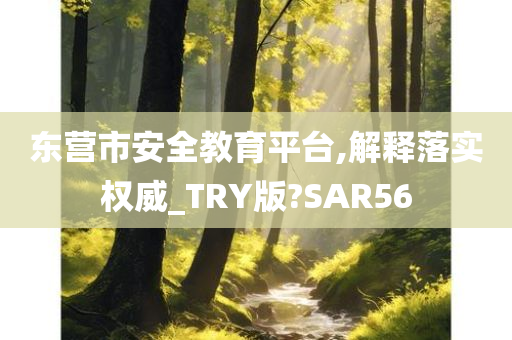 东营市安全教育平台,解释落实权威_TRY版?SAR56