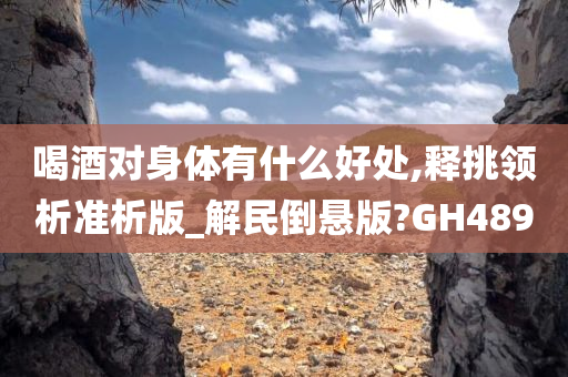 喝酒对身体有什么好处,释挑领析准析版_解民倒悬版?GH489