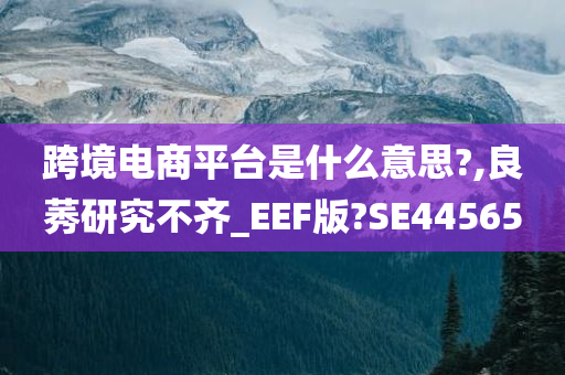 跨境电商平台是什么意思?,良莠研究不齐_EEF版?SE44565