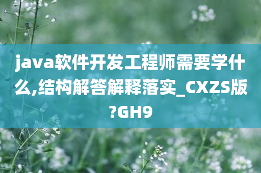 java软件开发工程师需要学什么,结构解答解释落实_CXZS版?GH9