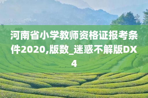 河南省小学教师资格证报考条件2020,版数_迷惑不解版DX4