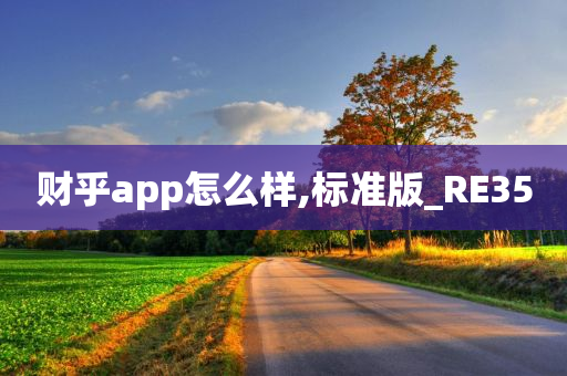 财乎app怎么样,标准版_RE35