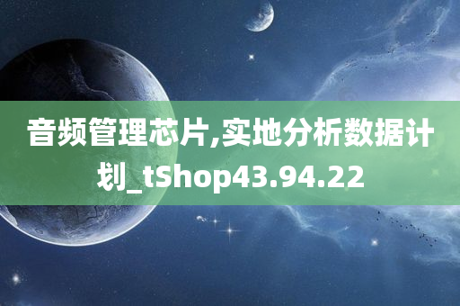 音频管理芯片,实地分析数据计划_tShop43.94.22