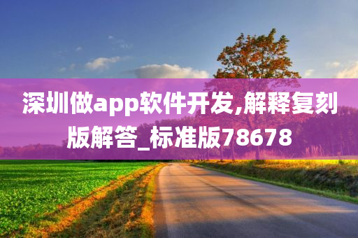 深圳做app软件开发,解释复刻版解答_标准版78678