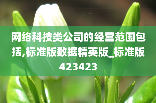 网络科技类公司的经营范围包括,标准版数据精英版_标准版423423