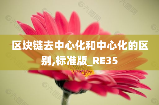 区块链去中心化和中心化的区别,标准版_RE35