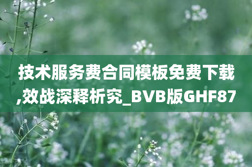 技术服务费合同模板免费下载,效战深释析究_BVB版GHF87