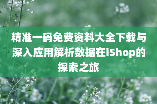 精准一码免费资料大全下载与深入应用解析数据在iShop的探索之旅