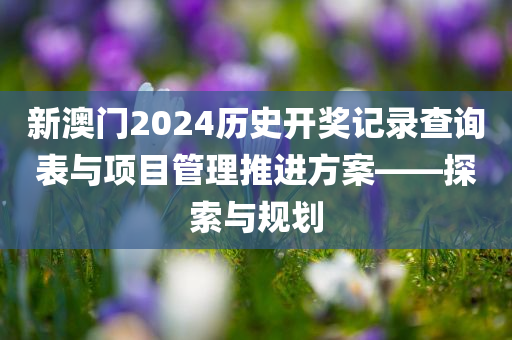 新澳门2024历史开奖记录查询表与项目管理推进方案——探索与规划