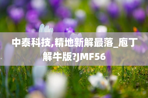 中泰科技,精地新解最落_庖丁解牛版?JMF56