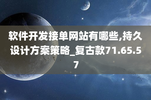 软件开发接单网站有哪些,持久设计方案策略_复古款71.65.57