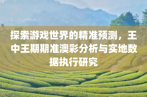 探索游戏世界的精准预测，王中王期期准澳彩分析与实地数据执行研究