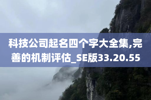 科技公司起名四个字大全集,完善的机制评估_SE版33.20.55