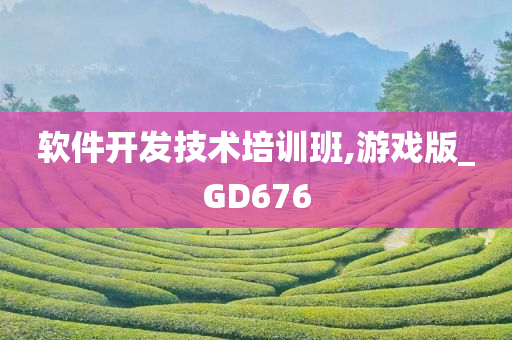 软件开发技术培训班,游戏版_GD676