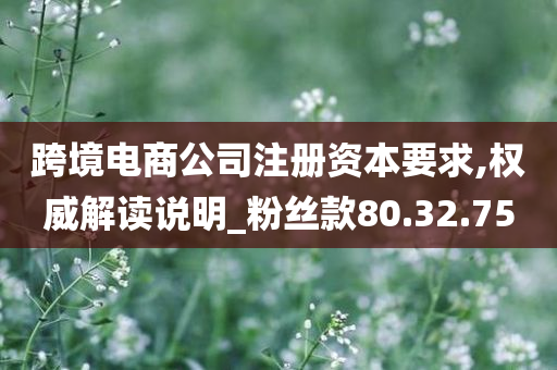 跨境电商公司注册资本要求,权威解读说明_粉丝款80.32.75