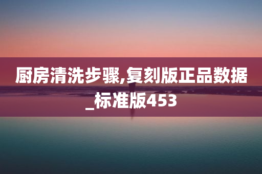 厨房清洗步骤,复刻版正品数据_标准版453