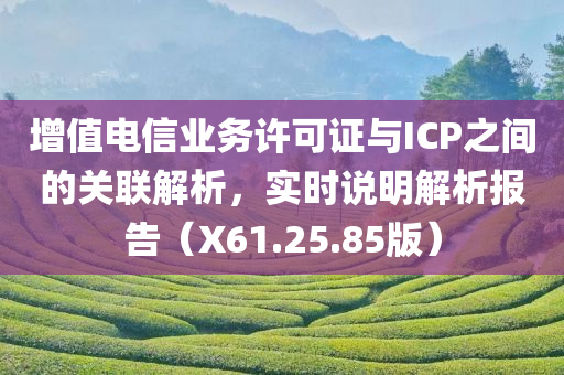 增值电信业务许可证与ICP之间的关联解析，实时说明解析报告（X61.25.85版）