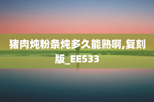 猪肉炖粉条炖多久能熟啊,复刻版_EE533