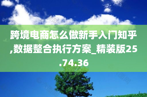 跨境电商怎么做新手入门知乎,数据整合执行方案_精装版25.74.36