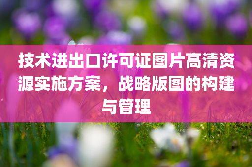 技术进出口许可证图片高清资源实施方案，战略版图的构建与管理