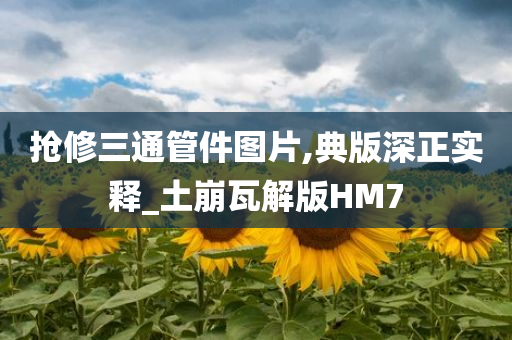 抢修三通管件图片,典版深正实释_土崩瓦解版HM7