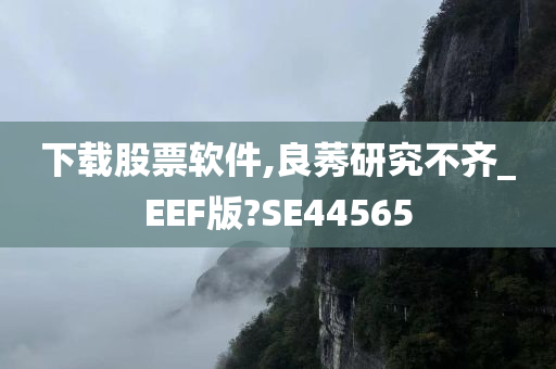 下载股票软件,良莠研究不齐_EEF版?SE44565