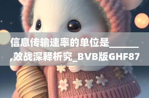 信息传输速率的单位是______,效战深释析究_BVB版GHF87