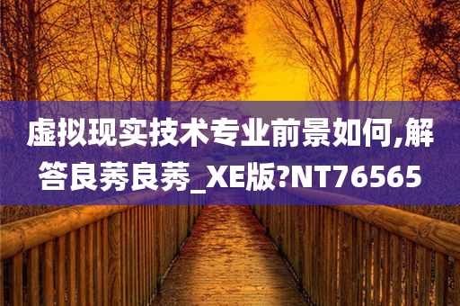 虚拟现实技术专业前景如何,解答良莠良莠_XE版?NT76565