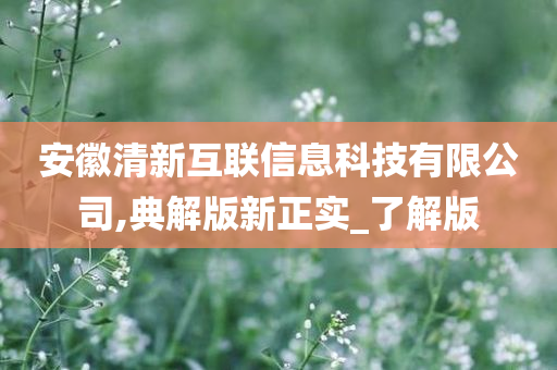 安徽清新互联信息科技有限公司,典解版新正实_了解版