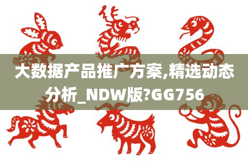 大数据产品推广方案,精选动态分析_NDW版?GG756