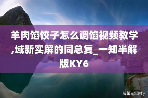 羊肉馅饺子怎么调馅视频教学,域新实解的同总复_一知半解版KY6